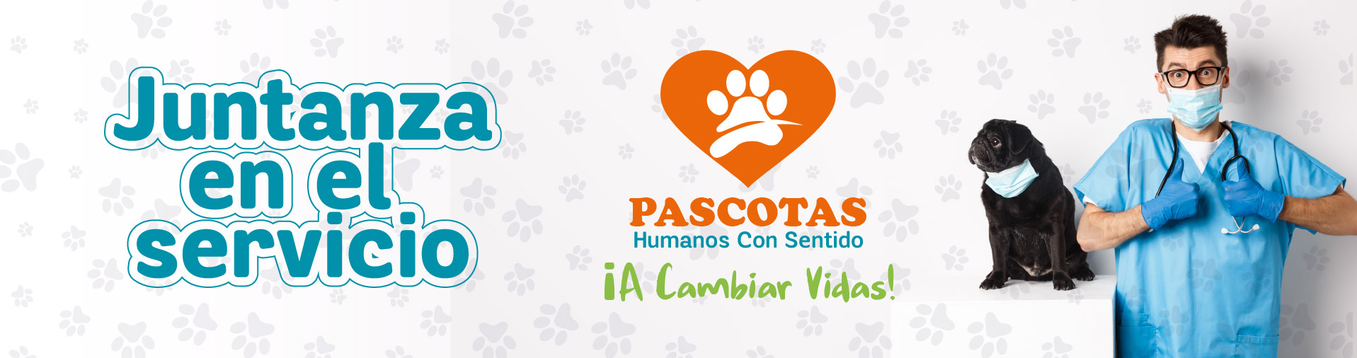 pascotas bannerweb 03